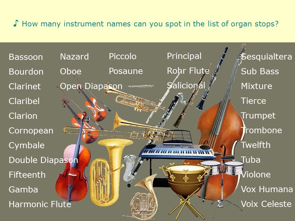 Names of musical organs deals